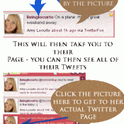 Twhirl with Twitter