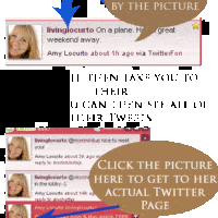 Twhirl with Twitter