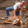 steve and tigers