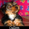 Cullen3-09-1
