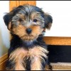 Cullen3-1-09