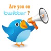 twitter bird