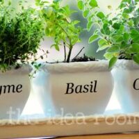herb pots with Silhouette