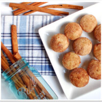 Cinnamon and Sugar Doughnut Muffins
