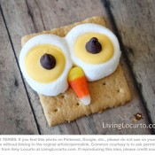 Owl Smores from Living Locurto