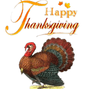 Thanksgiving Turkey TidyMom.net