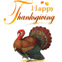 Thanksgiving Turkey TidyMom.net