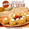 Unfried Ice Cream| recipe at TidyMom.net