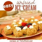 Unfried Ice Cream| recipe at TidyMom.net