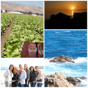dole salad summit