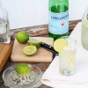 homemade lemon lime soda
