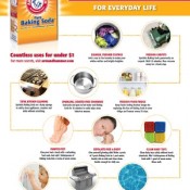 Arm & Hammer Simple Solutions Guide