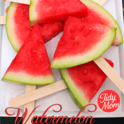 watermelon on a stick