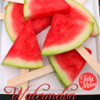 watermelon on a stick