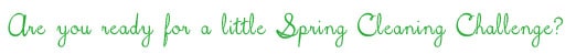 Ready for Spring Cleaning with TidyMom?