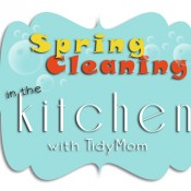 Spring Cleaning in the Kitchen with TidyMom