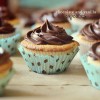 Chocolate and Vanilla Cupcakes