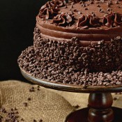 Chocolate Frosted Cake at TidyMom.net