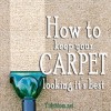 How to keep Carpet Looking it's Best