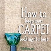 How to keep Carpet Looking it's Best