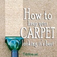 How to keep Carpet Looking it's Best