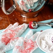 Keep you and your kitchen clean and safe by using disposable gloves and Clorox Bleach | at TidyMom.net