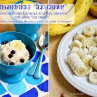 1 Ingredient Ice Cream TidyMom