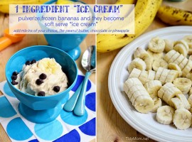 1 Ingredient Ice Cream TidyMom