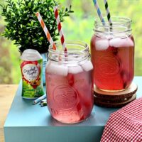 Pomtini Lemonade at TidyMom.net