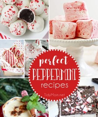 Delicious Perfect Peppermint Recipes. From peppermin fudge and peppermint marshmallows, to spiked peppermint hot chocolate and peppermint oreo truffles and more! details at TidyMom.net