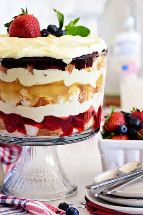 Easy Fruit Trifle TidyMom