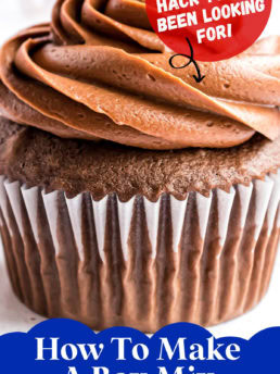 cupcake with chocolate frosting