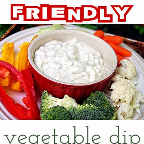 Diet Friendly Vegetable Ranch Dip