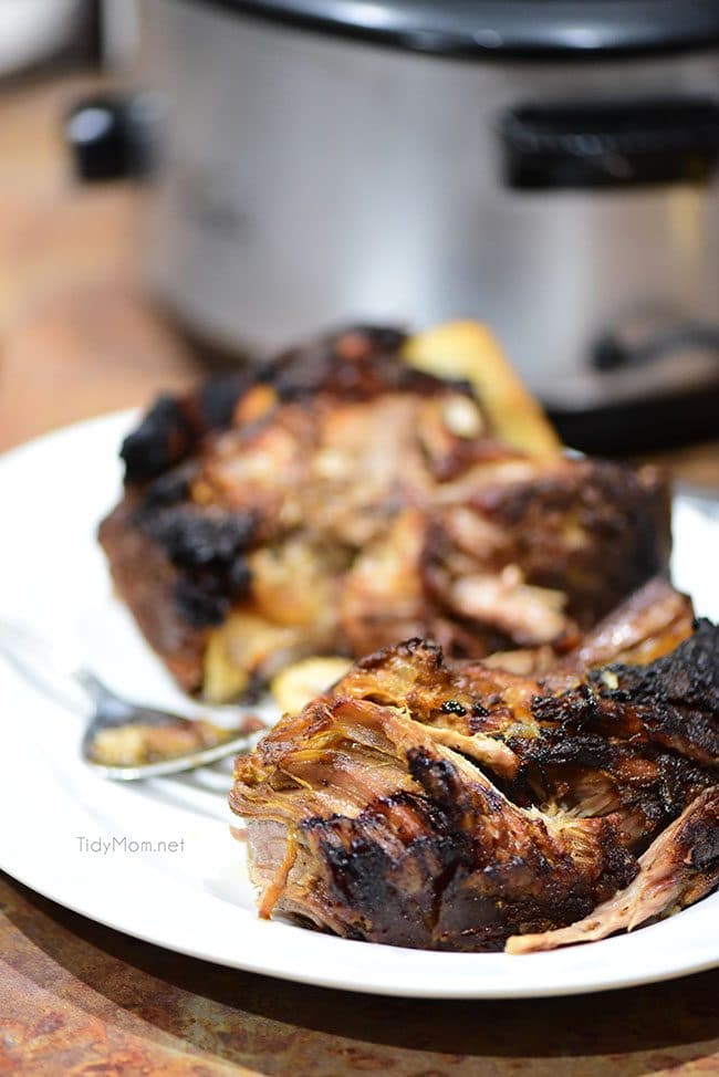 pulled pork in roaster oven