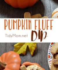 Pumpkin Fluff is a creamy, fluffy favorite fall treat. Serve with graham crackers or stuff into a cannoli shell or just dig in with a spoon. It’s full of fiber, and if you use sugar free/fat free pudding mix, Cool Whip Lite and 1% milk it’s a low cal treat you don’t have to feel guilty eating! Pumpkin Fluff Dip Recipe and video at TidyMom.net