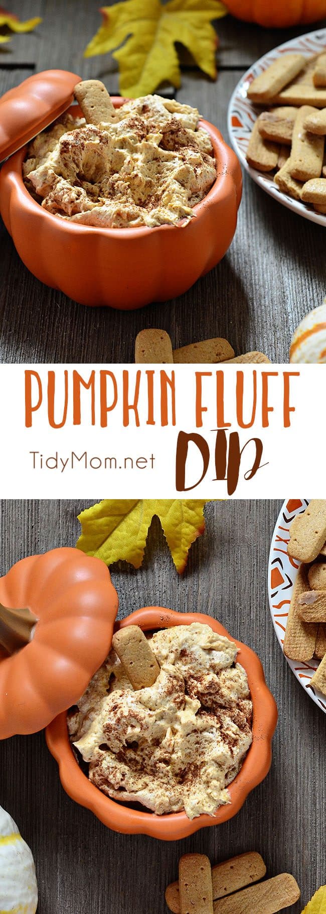 Pumpkin Fluff is a creamy, fluffy favorite fall treat. Serve with graham crackers or stuff into a cannoli shell or just dig in with a spoon. It’s full of fiber, and if you use sugar free/fat free pudding mix, Cool Whip Lite and 1% milk it’s a low cal treat you don’t have to feel guilty eating! Pumpkin Fluff Dip Recipe and video at TidyMom.net