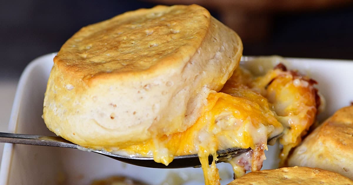Chicken and Cheese Biscuit Bake - TidyMom®