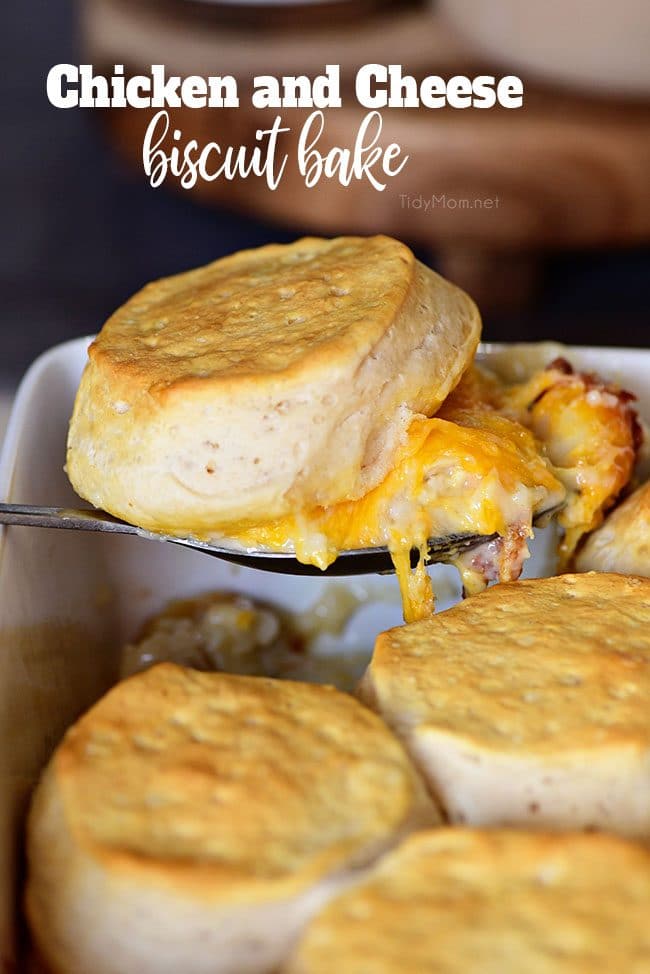 Chicken and Cheese Biscuit Bake closeup