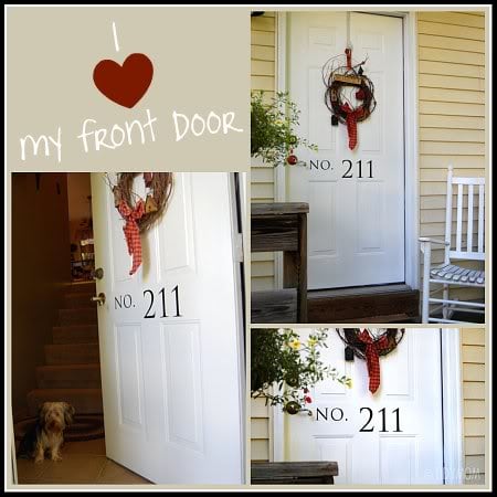 how to clean a front door at TidyMom.net