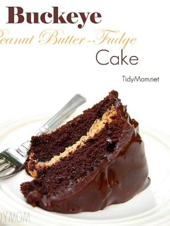 Buckeye Peanut Butter Fudge Cake recipe at TidyMom.net