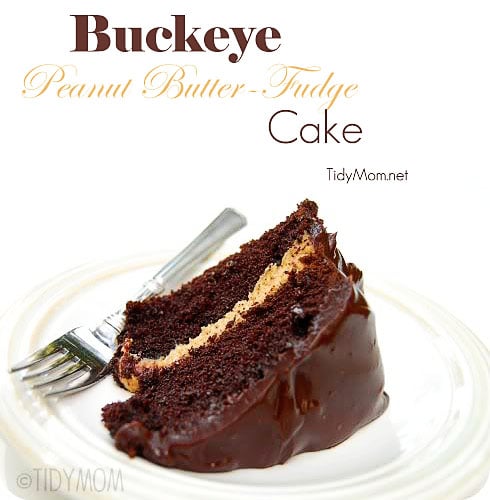 Buckeye Peanut Butter Fudge Cake recipe at TidyMom.net