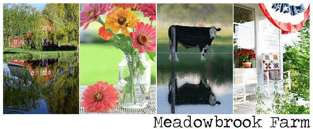 meadowbrook farm 