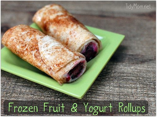 Frozen Fruit and Yogurt rollups