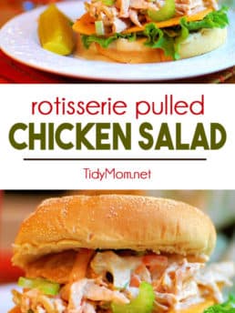 Pulled Chicken Salad Sandwich photo collage