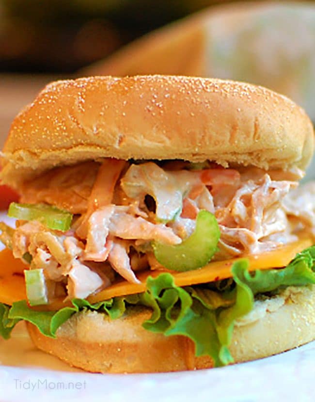 Pulled Chicken Salad on bun