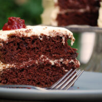 Chocolate Mayonnaise Cake