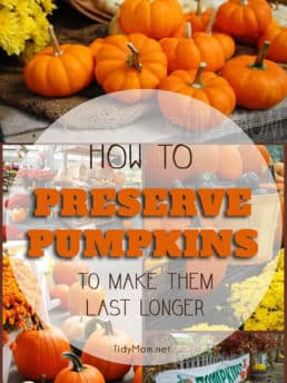 How to preserve pumpkins to make them last longer at TidyMom.net