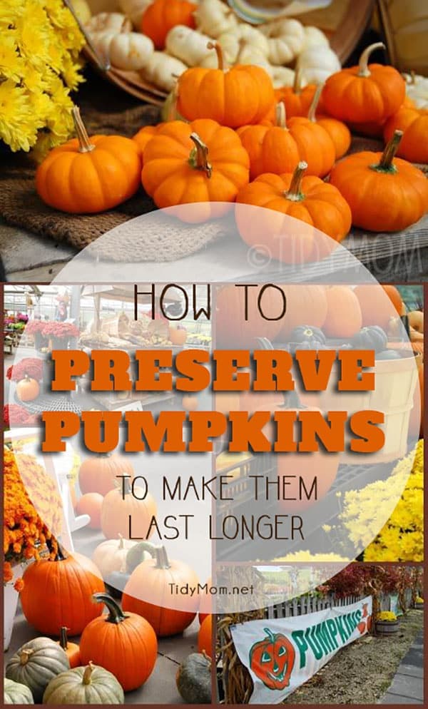 how to make your carved pumpkins last longer