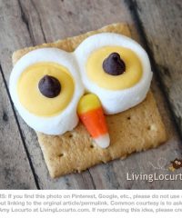 Owl Smores from Living Locurto