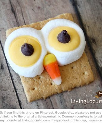 Owl Smores from Living Locurto